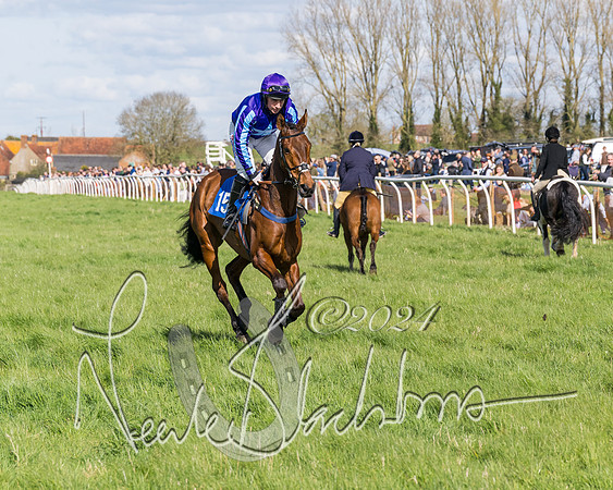 Race 2 - Maiden Race  (3 of 102)