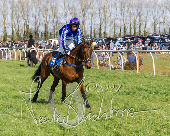 Race 2 - Maiden Race  (4 of 102)
