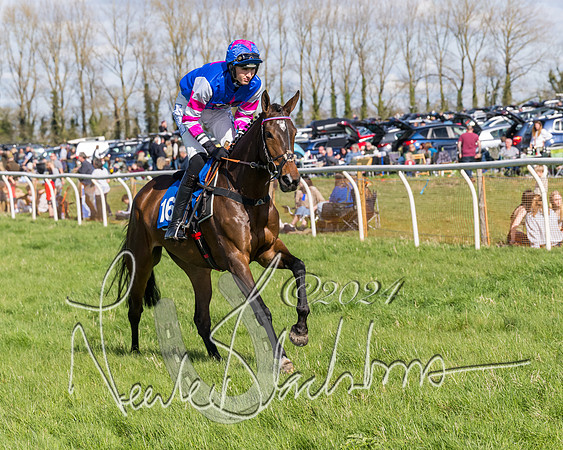 Race 2 - Maiden Race  (6 of 102)