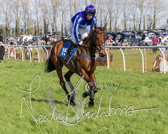 Race 2 - Maiden Race  (5 of 102)