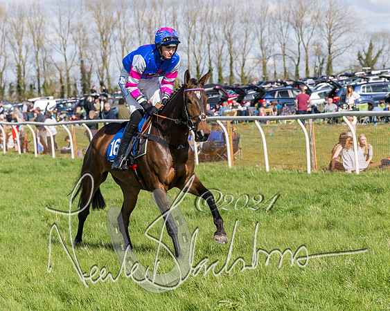 Race 2 - Maiden Race  (7 of 102)
