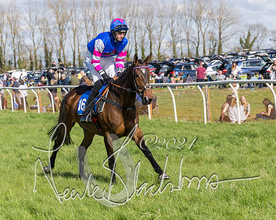 Race 2 - Maiden Race  (8 of 102)