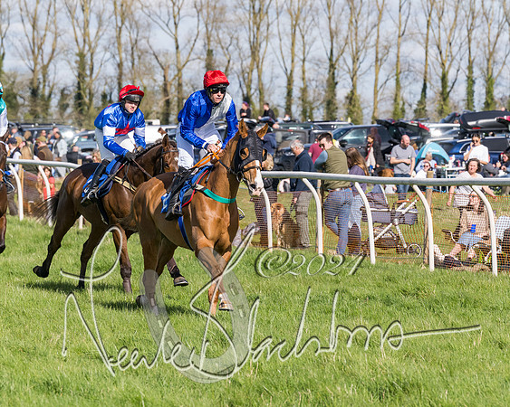Race 2 - Maiden Race  (9 of 102)