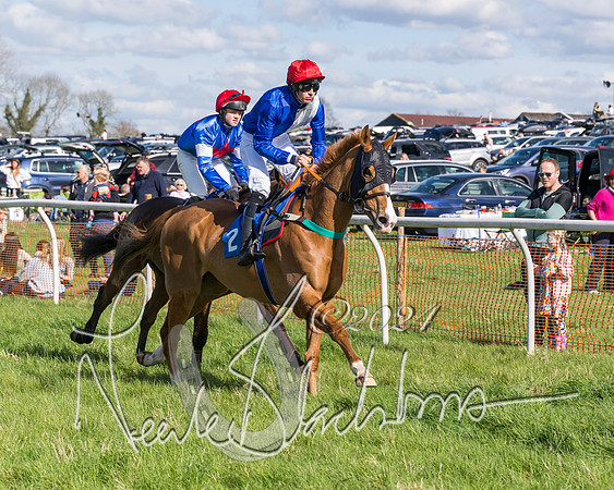Race 2 - Maiden Race  (10 of 102)