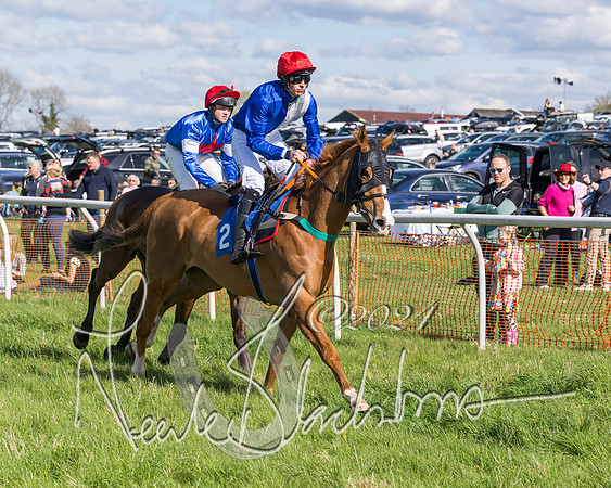 Race 2 - Maiden Race  (11 of 102)