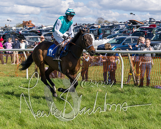 Race 2 - Maiden Race  (12 of 102)
