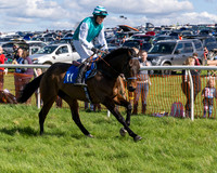 Race 2 - Maiden Race  (13 of 102)
