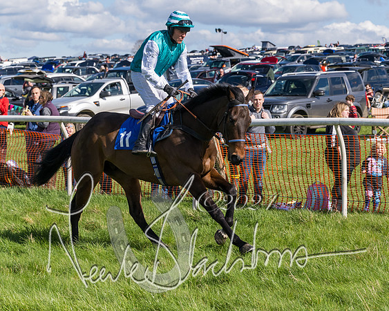 Race 2 - Maiden Race  (13 of 102)