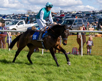 Race 2 - Maiden Race  (14 of 102)