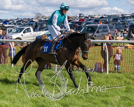 Race 2 - Maiden Race  (14 of 102)