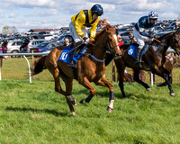 Race 2 - Maiden Race  (16 of 102)