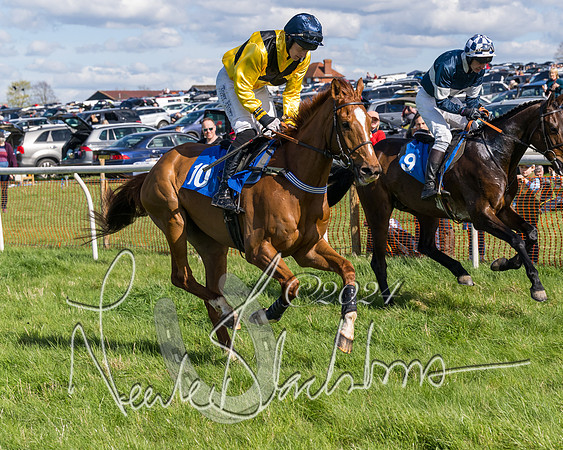 Race 2 - Maiden Race  (16 of 102)
