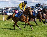 Race 2 - Maiden Race  (17 of 102)