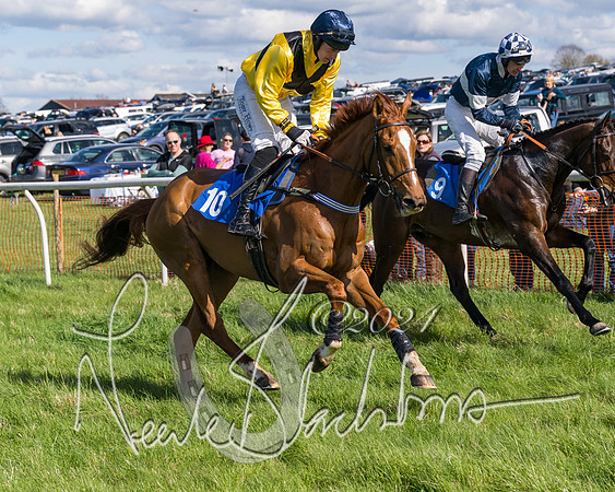Race 2 - Maiden Race  (17 of 102)