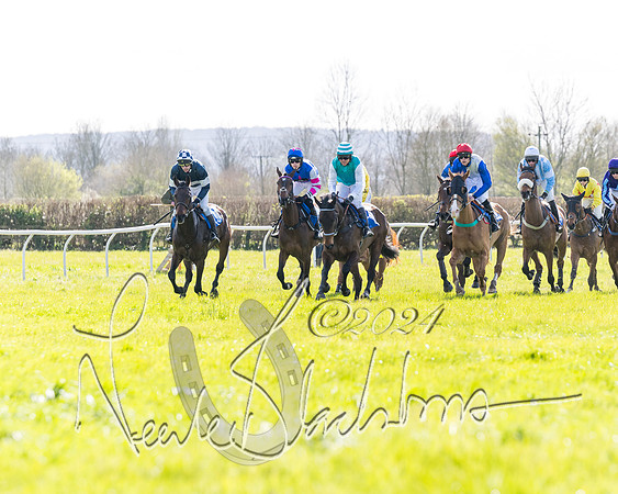Race 2 - Maiden Race  (18 of 102)