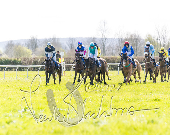 Race 2 - Maiden Race  (19 of 102)