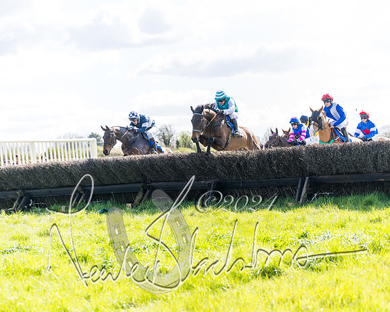 Race 2 - Maiden Race  (21 of 102)