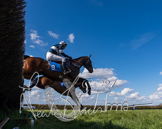 Race 2 - Maiden Race  (22 of 102)