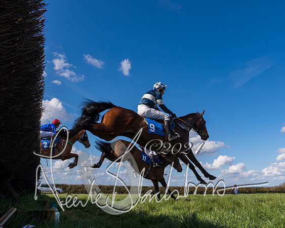 Race 2 - Maiden Race  (24 of 102)