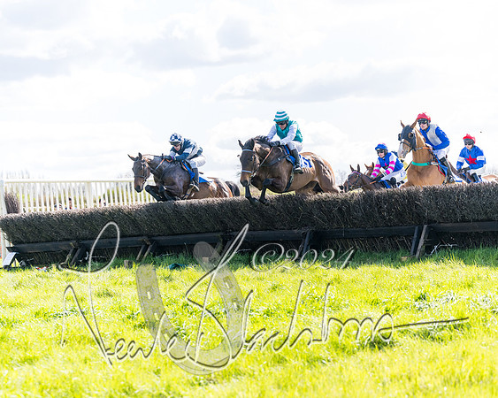 Race 2 - Maiden Race  (23 of 102)