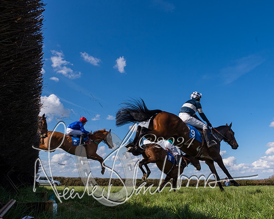 Race 2 - Maiden Race  (26 of 102)