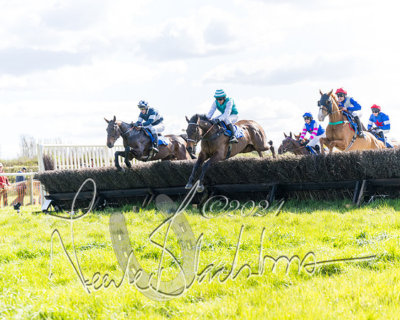 Race 2 - Maiden Race  (25 of 102)
