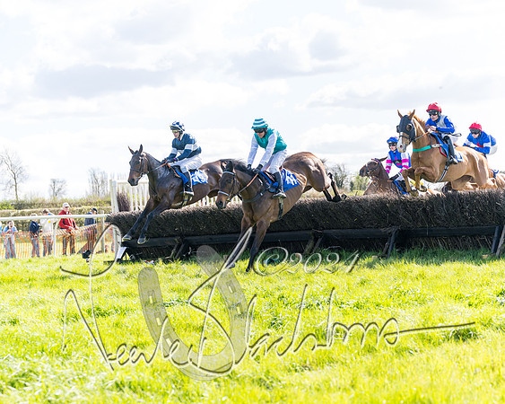 Race 2 - Maiden Race  (27 of 102)