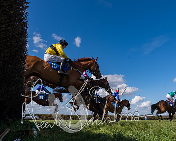 Race 2 - Maiden Race  (28 of 102)