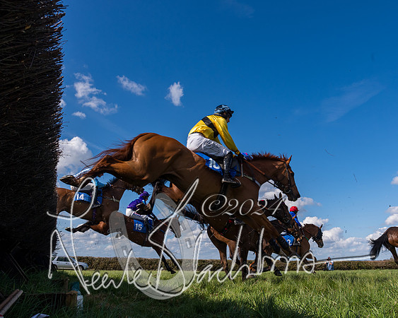 Race 2 - Maiden Race  (29 of 102)