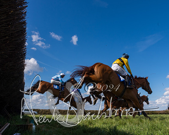 Race 2 - Maiden Race  (31 of 102)
