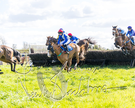 Race 2 - Maiden Race  (30 of 102)