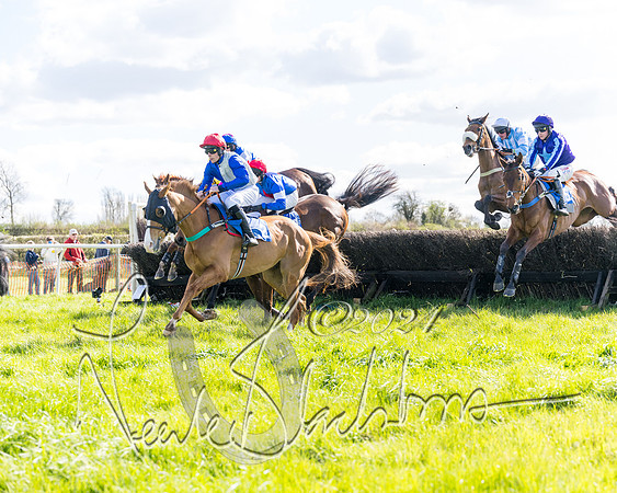 Race 2 - Maiden Race  (32 of 102)