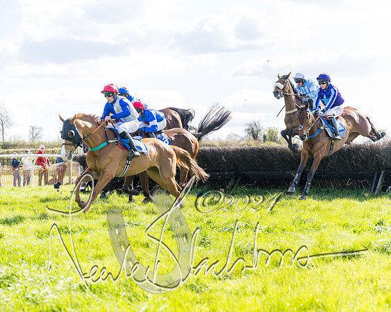 Race 2 - Maiden Race  (33 of 102)