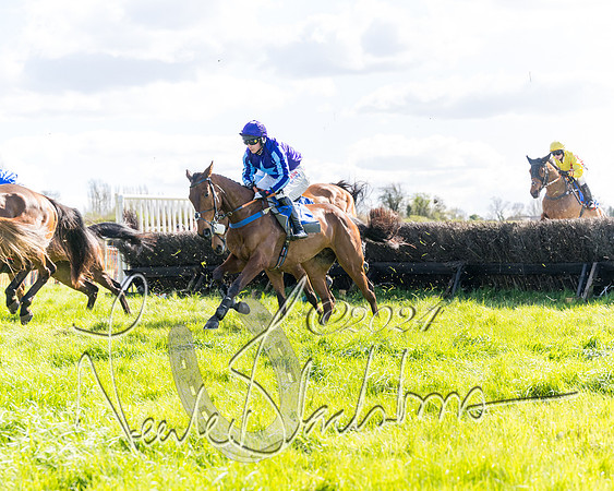 Race 2 - Maiden Race  (34 of 102)