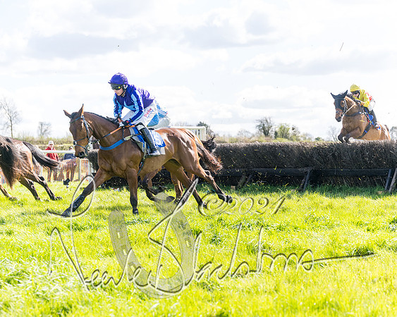 Race 2 - Maiden Race  (35 of 102)