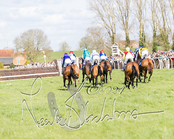 Race 2 - Maiden Race  (37 of 102)