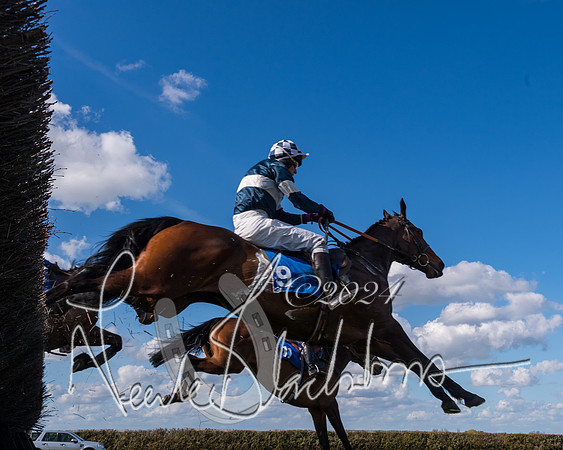 Race 2 - Maiden Race  (44 of 102)