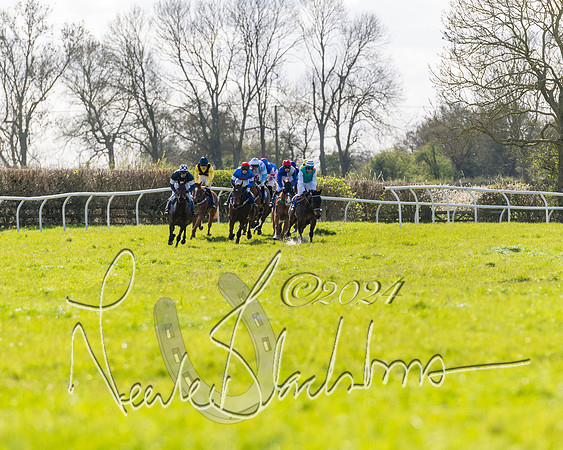 Race 2 - Maiden Race  (42 of 102)