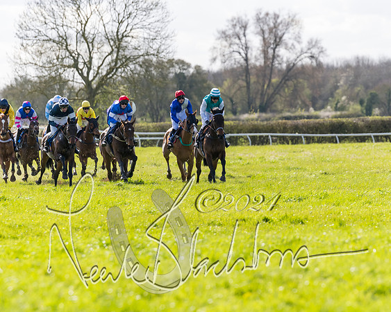 Race 2 - Maiden Race  (43 of 102)