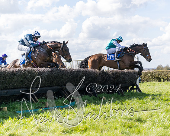Race 2 - Maiden Race  (46 of 102)