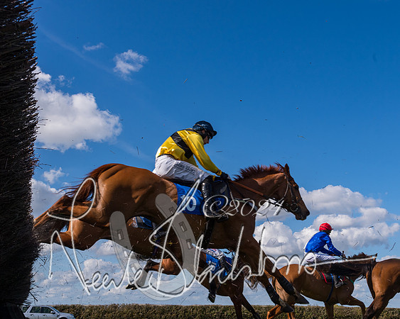 Race 2 - Maiden Race  (48 of 102)