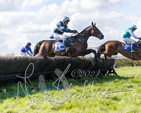 Race 2 - Maiden Race  (47 of 102)
