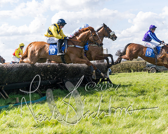 Race 2 - Maiden Race  (49 of 102)