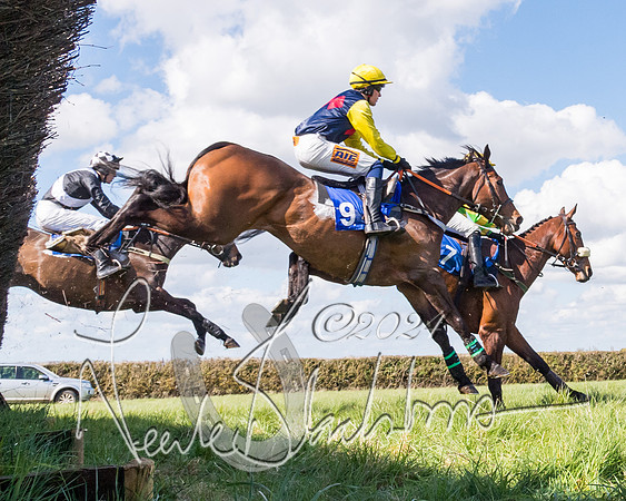 Golan Fortune - Toby McCain-Mitchell (2 of 20)