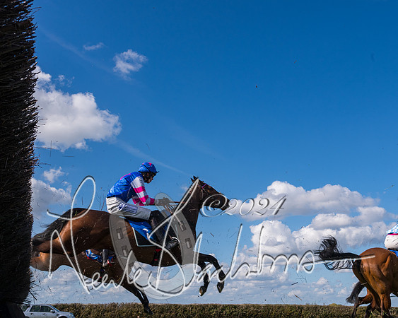 Race 2 - Maiden Race  (52 of 102)