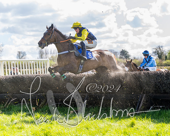 Golan Fortune - Toby McCain-Mitchell (7 of 20)