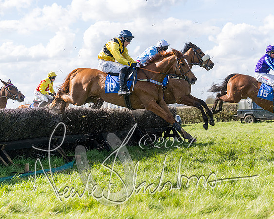 Race 2 - Maiden Race  (50 of 102)
