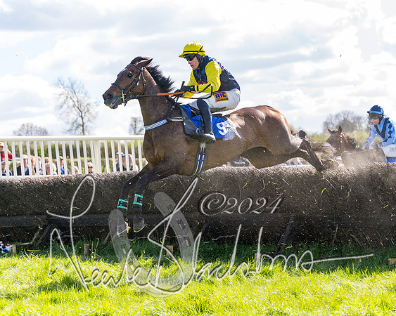 Golan Fortune - Toby McCain-Mitchell (9 of 20)
