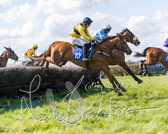 Race 2 - Maiden Race  (51 of 102)