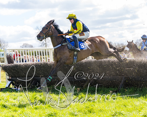 Golan Fortune - Toby McCain-Mitchell (10 of 20)
